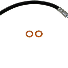 Dorman H381303 Hydraulic Brake Hose