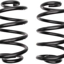 ACDelco 45H2011 Professional Rear Coil Spring Set