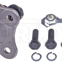 DORMAN BJ43353XL Suspension Ball Joint