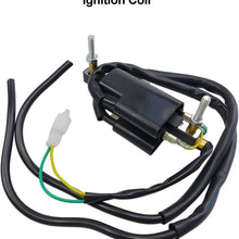 Ignition Coil for Honda CB250N CB250NA CB250NB CB400A CB400N CB400NA CB400NB CB400NC CB400T CM400A CM400C CB450T CM450A CM450C Nighthawk 1979-1983, Replace 30530-413-003 30530-447-003