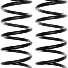 ACDelco 45H2124 Professional Rear Coil Spring Set