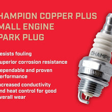 Champion Spark Plug 863 Littelfuse 00940400Z ATO Blade Fuse Super Value Pack