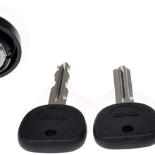Dorman 924-796 Ignition Lock Cylinder for Select Models, Silver (OE FIX)