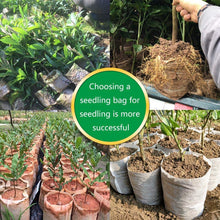 Rosymity Non - Woven Gardening Bag，100PCs Seedlings Increase Bag Nursery Potted Flower Bag Garden Non - Woven Planting Bag Garden Pots Planting