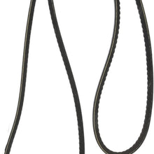 Continental 8362 Automotive V-Belt