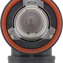 Bosch Automotive H11ST Light Bulb