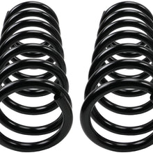 Moog 81119 Coil Spring Set