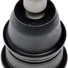 Dorman - OE Solutions 535-822 Suspension Ball Joint