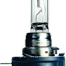 Philips H11B Standard Halogen Headlight Bulb (Pack of 1)