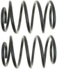 ACDelco 45H2137 Professional Rear Coil Spring Set