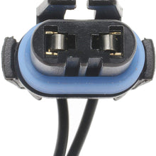 ACDelco LS255 Professional Headlamp Socket