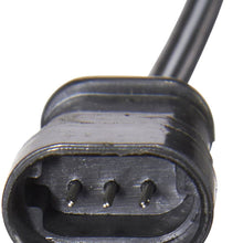 Spectra Premium CH24 Distributor