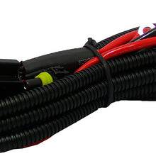 Race Sport RELAY-HARNESS RS 12V HID Relay Harness-Stabelizer