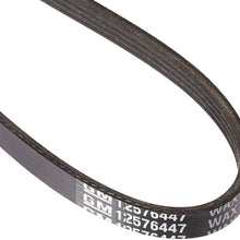 Genuine GM 12576447 Air Conditioning Compressor Belt