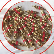ANKIA 150pcs Tyre Tire Valve Stem Core Part Replacement for Car Truck Motorcycle Bike (150 PCS Stem Cores)