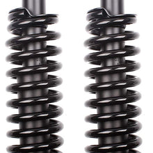 ECCPP 2X Front Complete Strut Assembly Shock Absorber for 1994 1995 1996 1997 for Honda Accord (black)