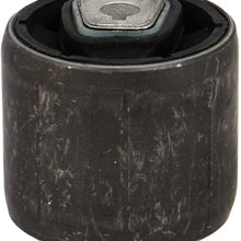 Rein Automotive AVB0631 Control Arm Bushing (Front Suspension Lower - Inner Rearward Position)