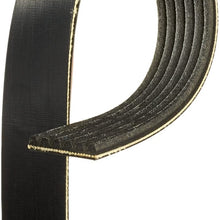 ACDelco 6K916A Professional V-Ribbed Serpentine Belt