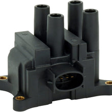 Formula Auto Parts IGC29 Ignition Coil