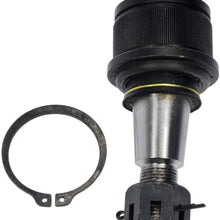 Dorman - OE Solutions 536-527 Suspension Ball Joint