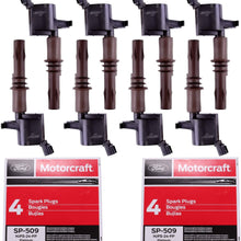 MAS Ignition Coils DG521 and Motorcraft SP-509 Spark Plugs compatible with Ford Expedition F-150 Super Duty F-250 F-350 F-450 F-550 F-350 F53 4.6L 5.4L 6.8L C1659 DG521 8L3Z-12029-A