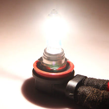 DZG H11 Halogen Headlight Bulbs Fog Lights PGJ19-2 5500K Warm White 12V 55W, 2 Pack