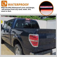 DWVO LED 3rd Brake Light Compatible with 2009-2014 Ford F150, Smoked High Mount Stop Light Trailer Cargo Lamp DWBL1010