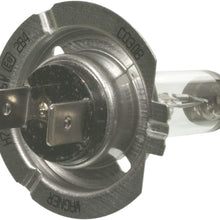 Wagner Lighting BP1255H7 Halogen Capsule - Card of 1