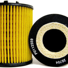 ACDelco PF1703F Engine Oil Filter