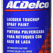 ACDelco 19355050 Automotive Paint, 1 Pack