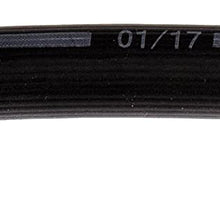 Dorman H621033 Hydraulic Brake Hose