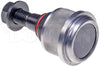 DORMAN BJ81116XL Suspension Ball Joint