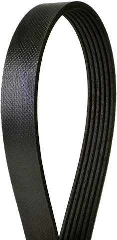 Continental 4060605 6-rib, 60.5