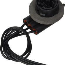 Dorman Help! 85881 Socket,Rear Stop,Turn,B/U ""