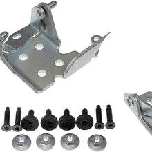 Dorman 924-111 Door Hinge Assembly