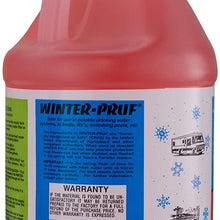RecPro RV Antifreeze Winter-Pruf -50°F Protection Non-Toxic (4 Pack)