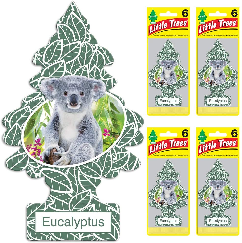 LITTLE TREES Car Air Freshener | Hanging Tree Provides Long Lasting Scent for Auto or Home | Eucalyptus, 6-Packs (4 count)