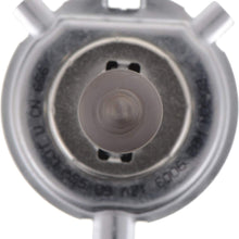 Bosch Automotive 9003ST Light Bulb