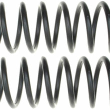 ACDelco 45H2139 Professional Rear Coil Spring Set