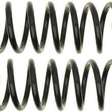 ACDelco 45H1194 Professional Rear Coil Spring Set