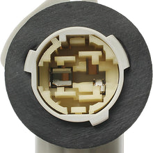 ACDelco LS261 Professional Multi-Purpose Lamp Socket