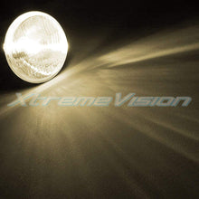 XtremeVision HID Xenon Replacement Bulbs - H7 4300K - Bright White (1 Pair) - 2 Year Warranty