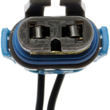 ACDelco LS254 Professional Headlamp Socket