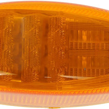 Dorman 888-5240 Turn Signal and Side Marker Light for Select International Models