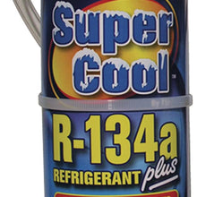 TSI Supercool 24261 R134a Plus 14 oz. with Applicator Hose 14. Fluid_Ounces