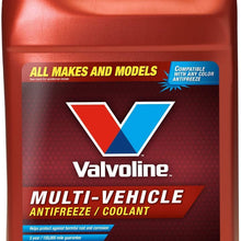 MaxLife Valvoline Multi-Vehicle Antifreeze/Coolant 1 GA
