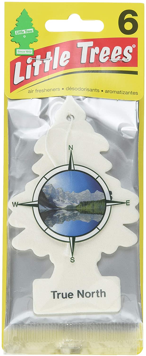 Little Trees Car Air Freshener 6-Pack (True North)