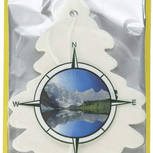 Little Trees Car Air Freshener 6-Pack (True North)