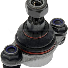 DORMAN BJ14175XL Suspension Ball Joint