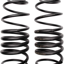ACDelco 45H3124 Professional Rear Coil Spring Set